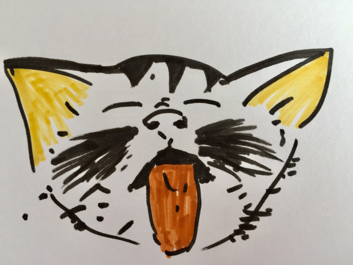 Chaton tirant la langue